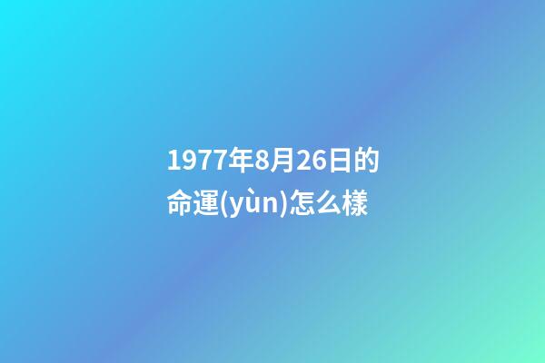 1977年8月26日的命運(yùn)怎么樣 (1977年農(nóng)歷8月26日出生是什么命)-第1張-觀點(diǎn)-玄機(jī)派